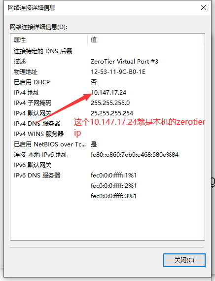 查看自己的zerotier ip